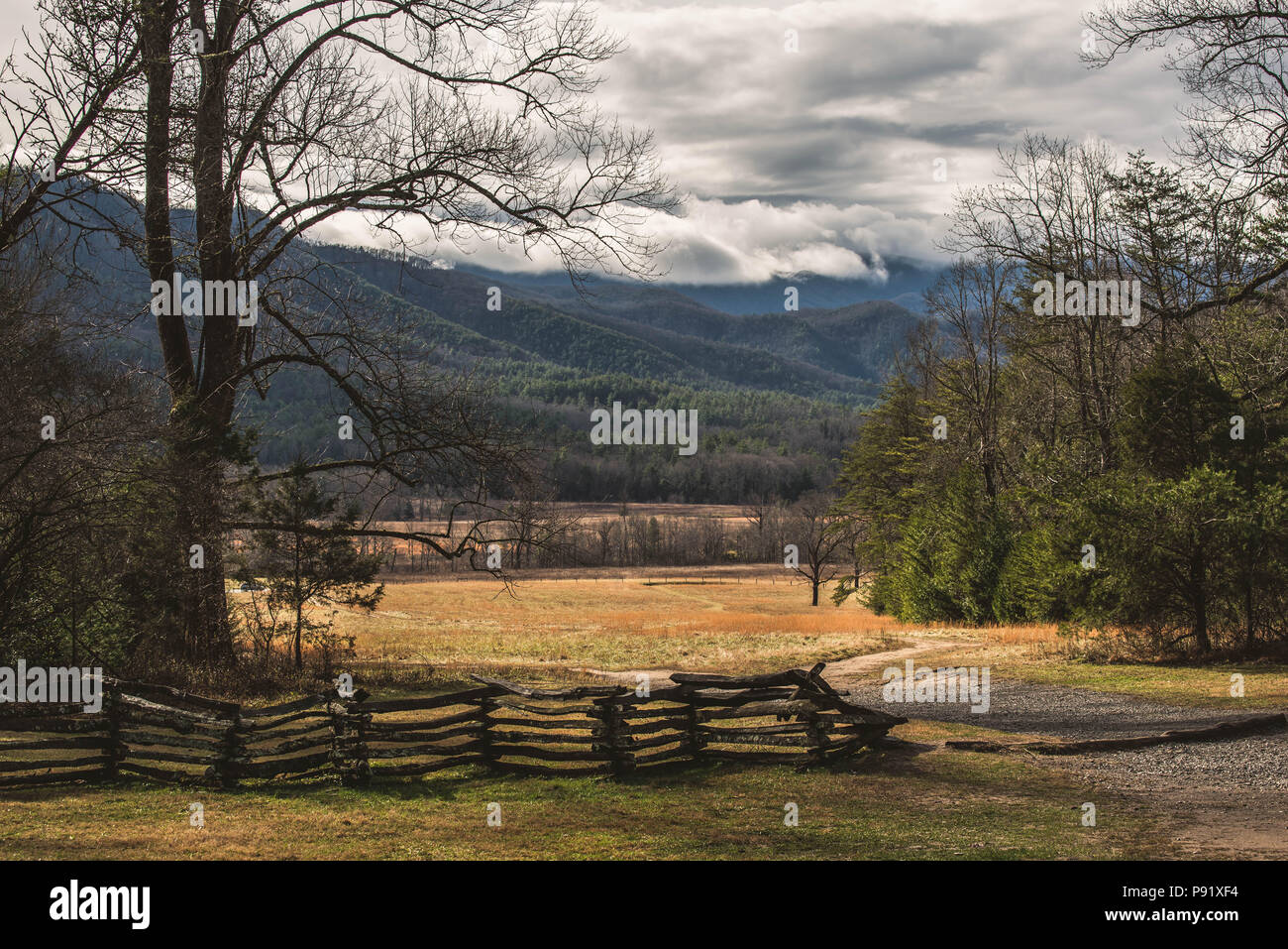 Une vue de la Smokey Mountains de Cade's Cove au Tennessee. Banque D'Images