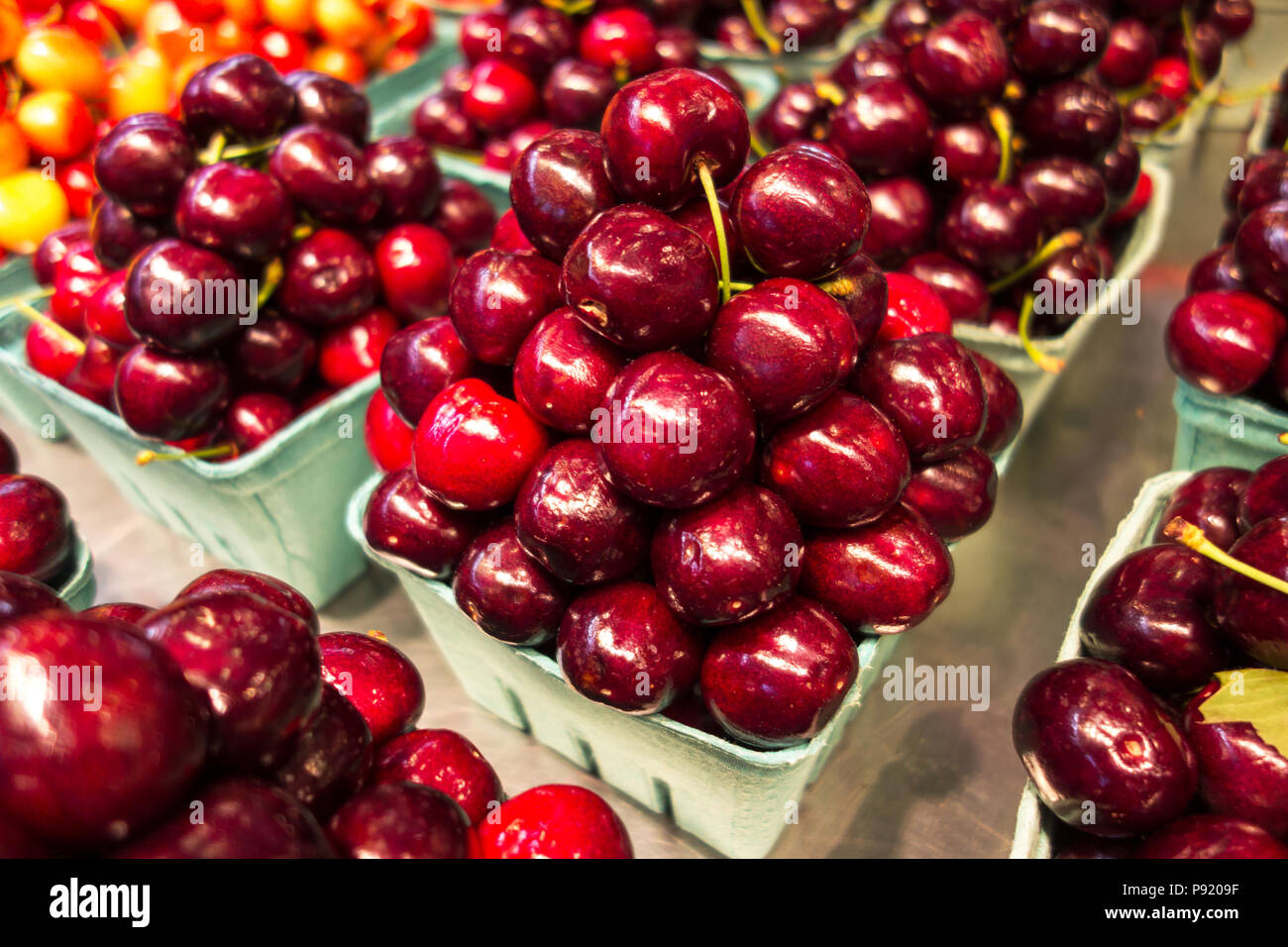 Cerise rouge frais close up shot Banque D'Images