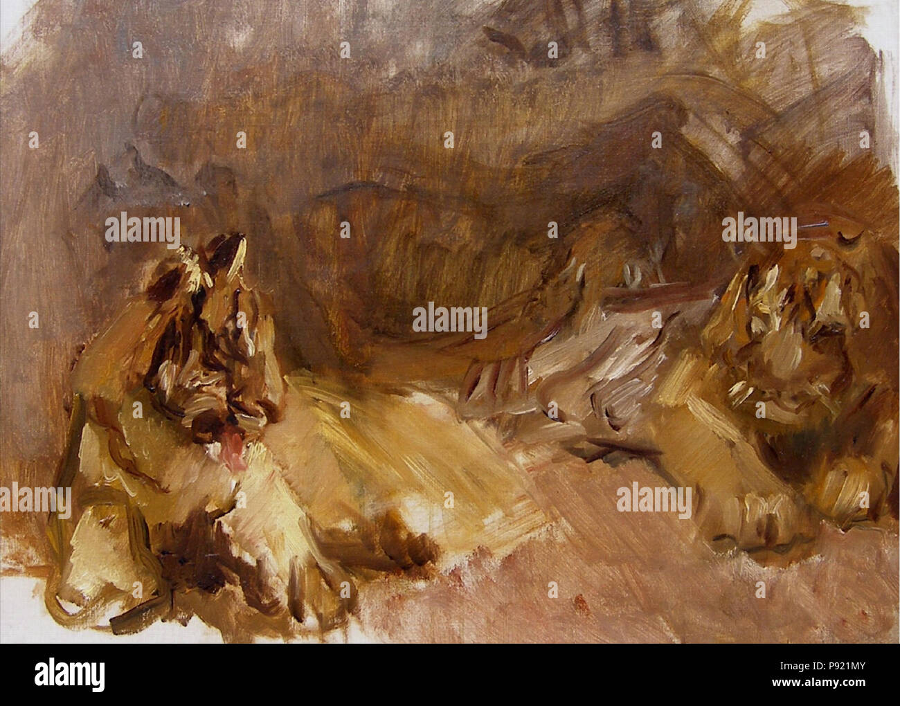 414 Max Slevogt - Löwenstudie Banque D'Images