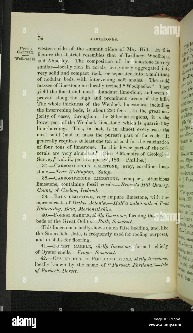 Un catalogue descriptif de la roche de spécimens dans le musée de géologie pratique (page 74) Banque D'Images