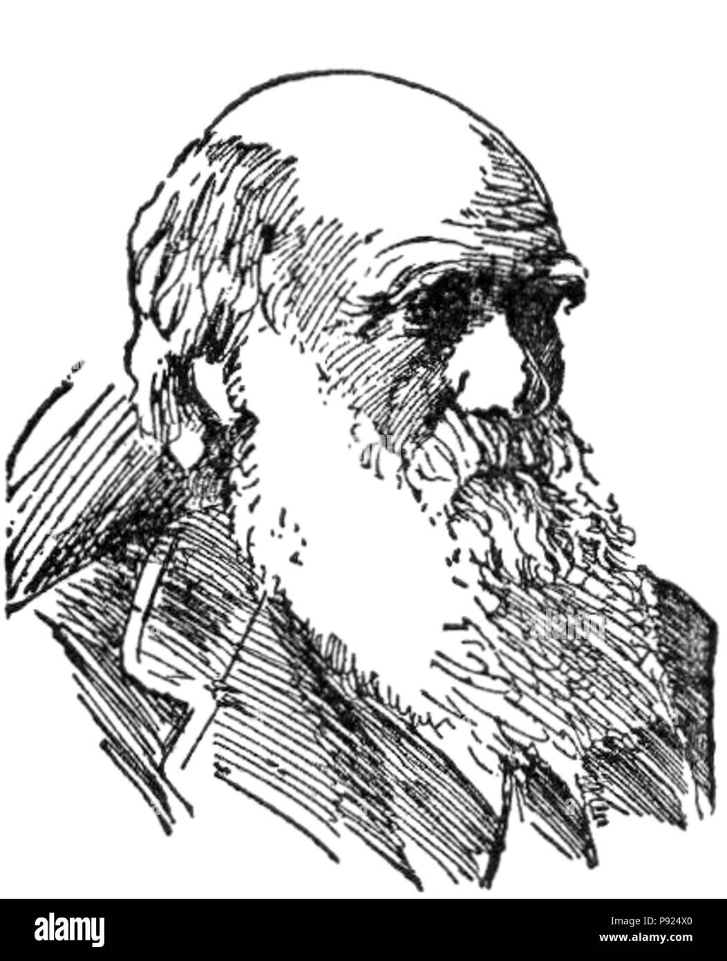 435 NSRW Charles Robert Darwin Banque D'Images