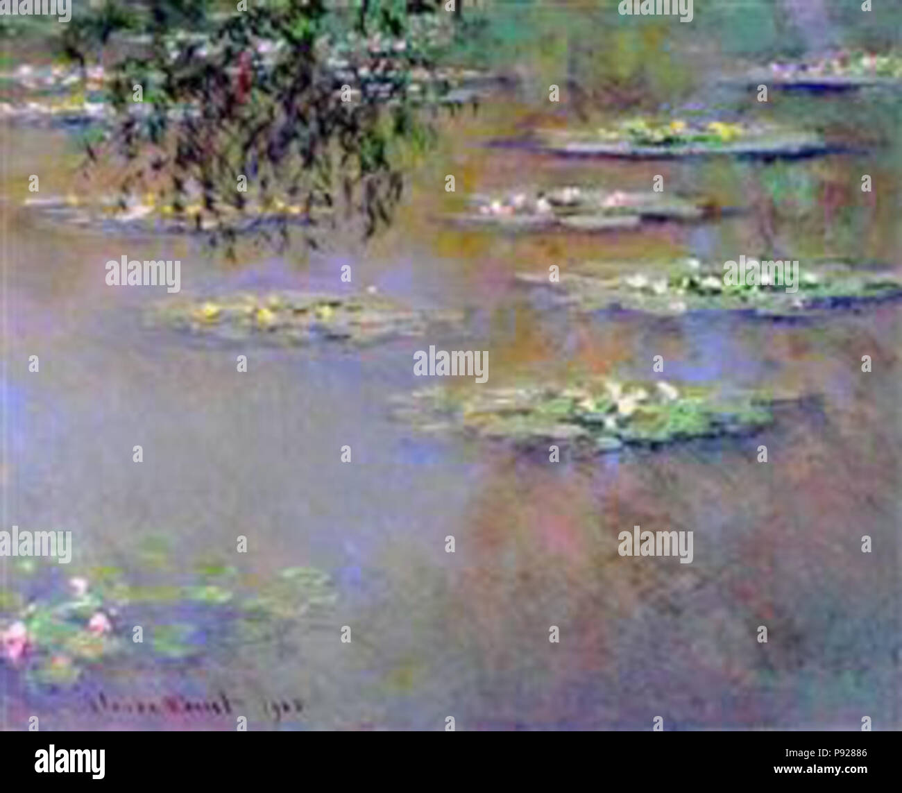 Nénuphars monet Banque de photographies et d’images à haute résolution ...
