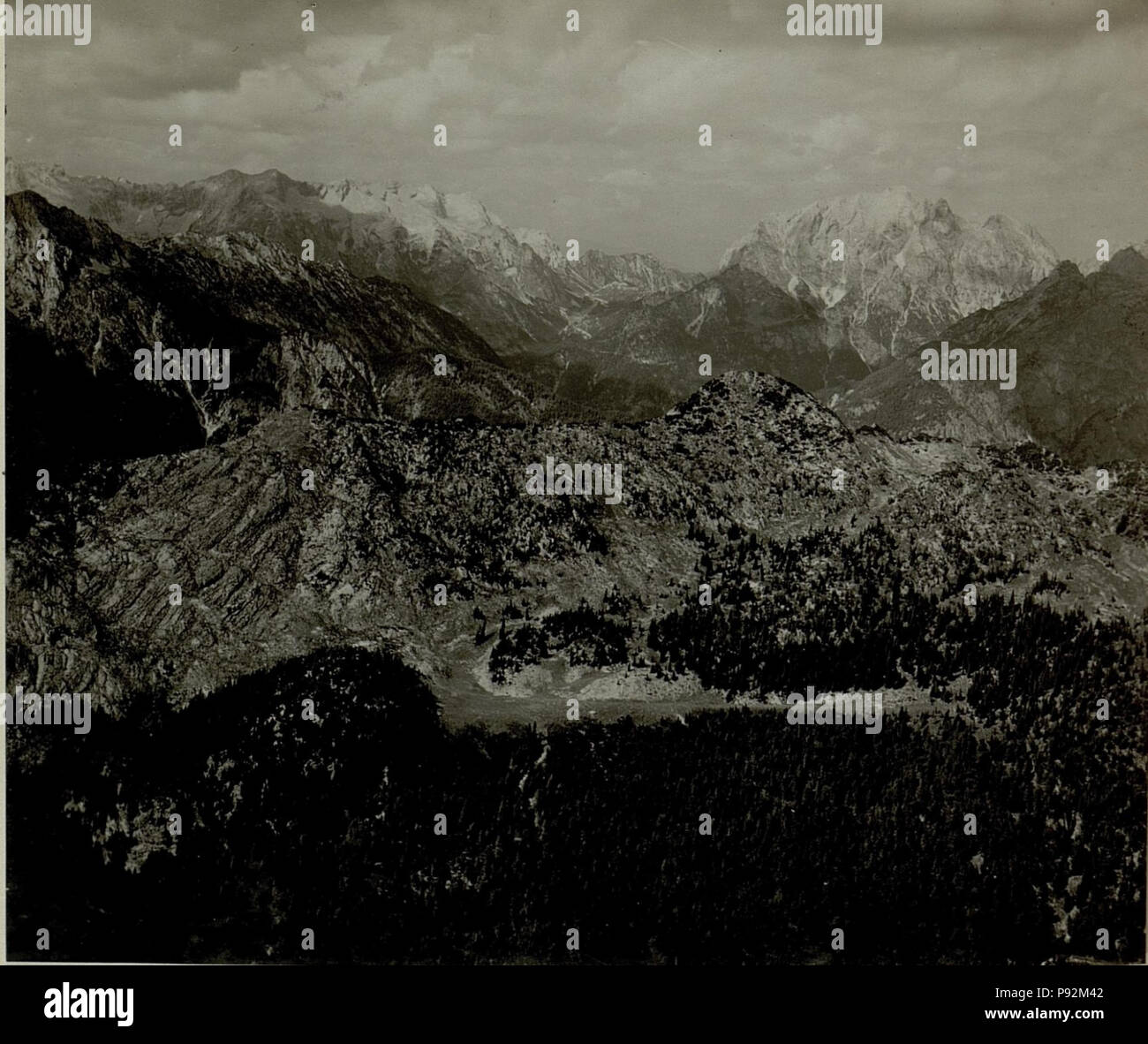 . 447 Panorama vom Vogel, Lepa, Spica, Triglav, Prisang Stpkt, rasoir, Mojstrovka, Kuk Kamm Kote 2135. BildID (15480587) Banque D'Images