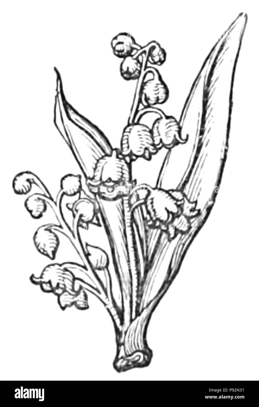 Pittoresque 455 Guinée - Chapitre 11 fin fleuron Banque D'Images