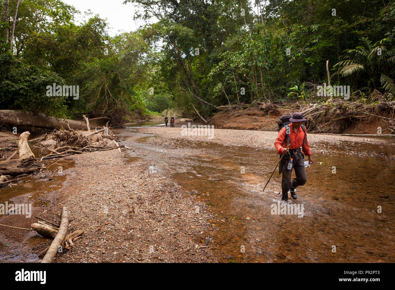 Les randonneurs dans une rivière dans le parc national de Chagres, le long de l'ancien Camino Real Trail, République du Panama. Banque D'Images