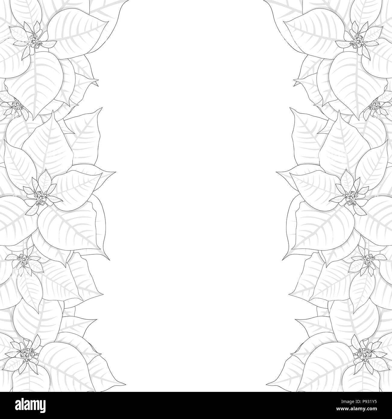 Poinsettia Frontière Contour isolé sur fond blanc. Vector Illustration. Illustration de Vecteur