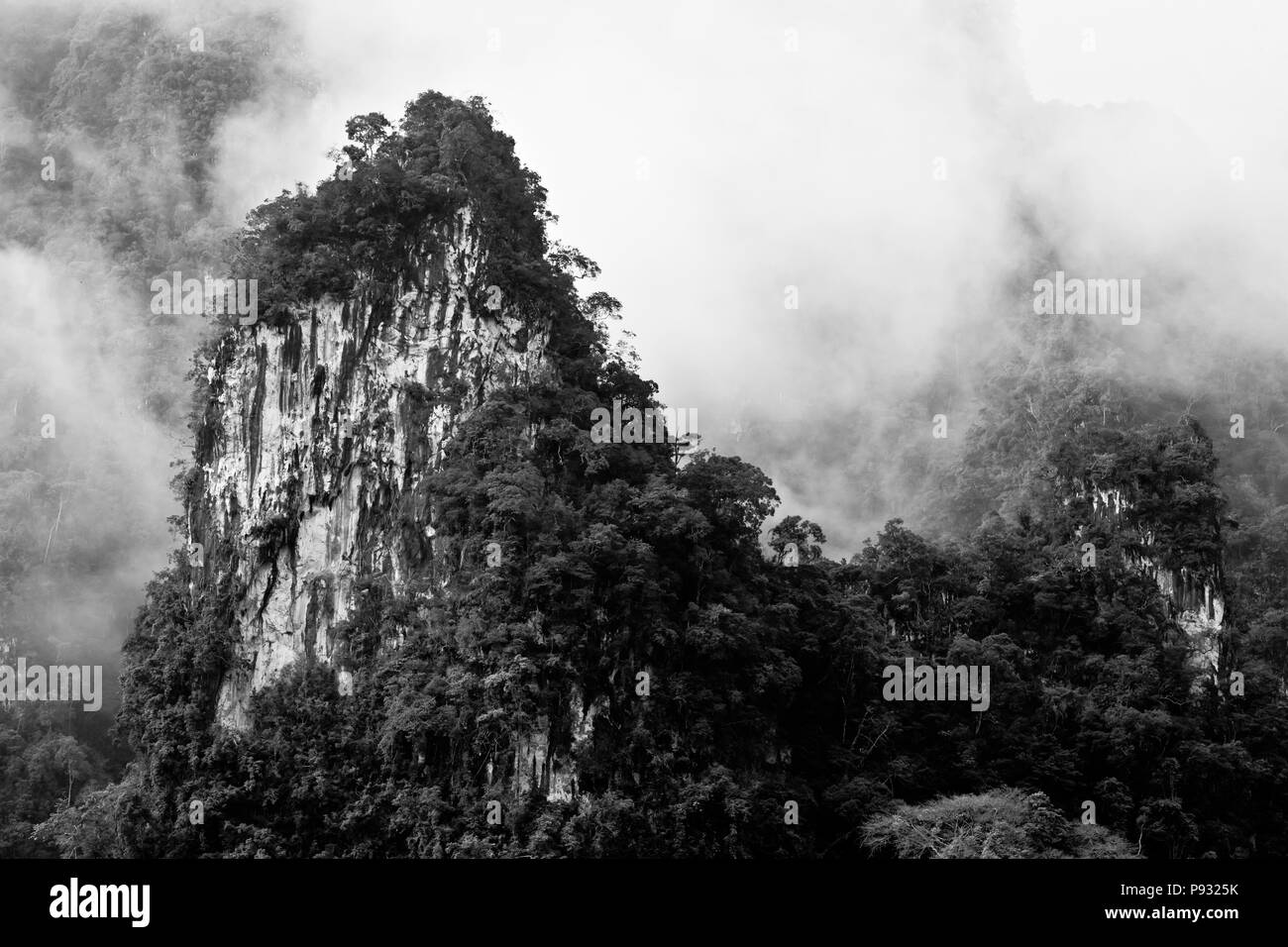 Rainforest mist s'attarde dans la formation karstique du parc national de Khao Sok - SURAI THANI PROVENCE, THAÏLANDE Banque D'Images