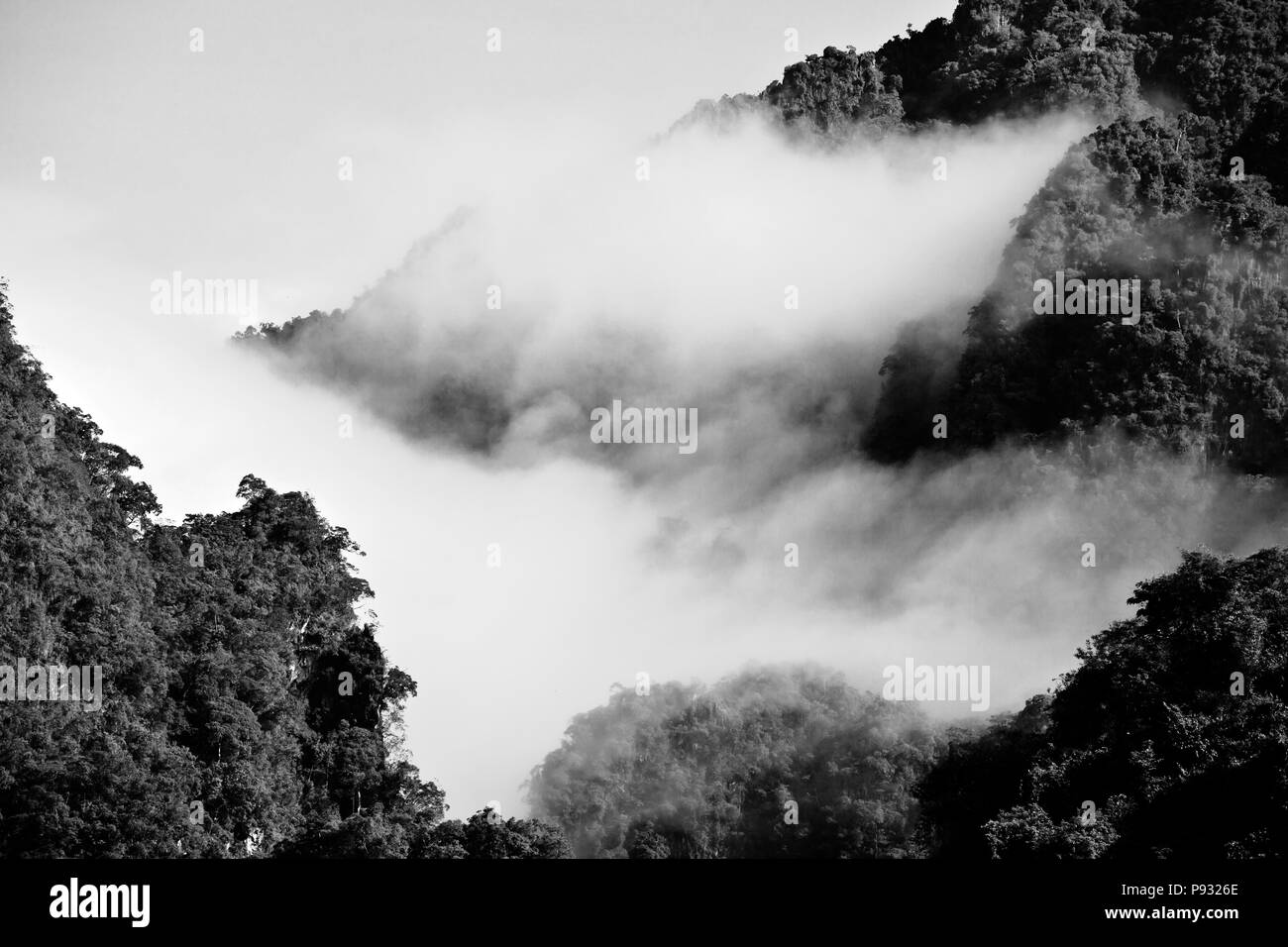 Rainforest mist s'attarde dans la formation karstique dans le parc national de Khao Sok - SURAI THANI PROVENCE, THAÏLANDE Banque D'Images