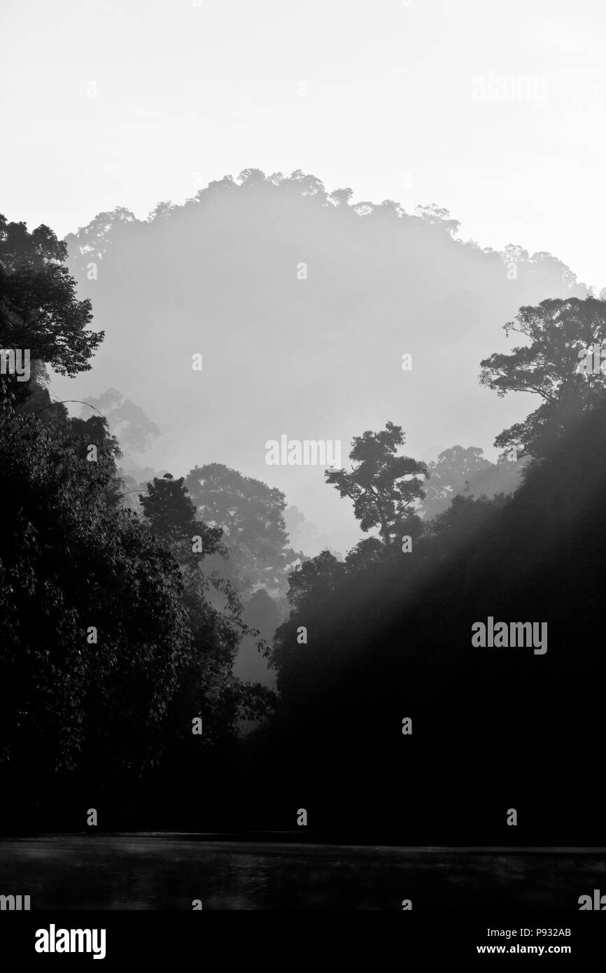 FORMATIONS KARSTIQUES couvertes de jungle tropicale CHEOW surround en lac dans le parc national de Khao Sok - Thaïlande Banque D'Images