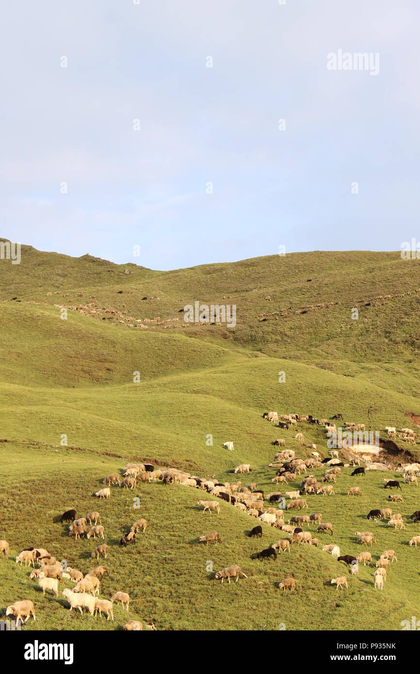 Belles montagnes de l'Himalaya comme vu au cours Roopkund trek dans l'Uttarakhand Banque D'Images