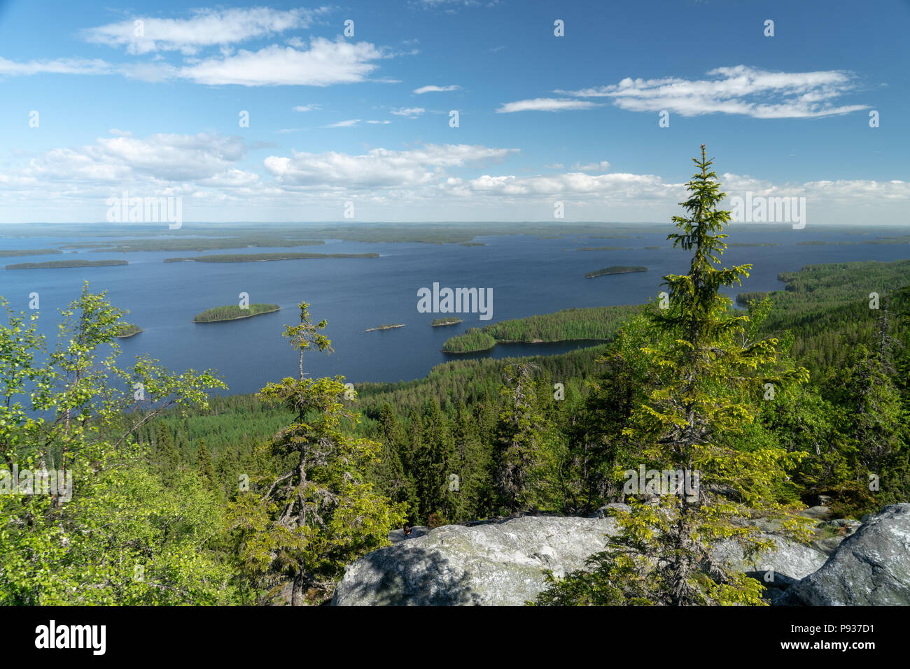 Vue paysage sur le lac Pielinen à Koli en Finlande au jour d'été ensoleillé Banque D'Images