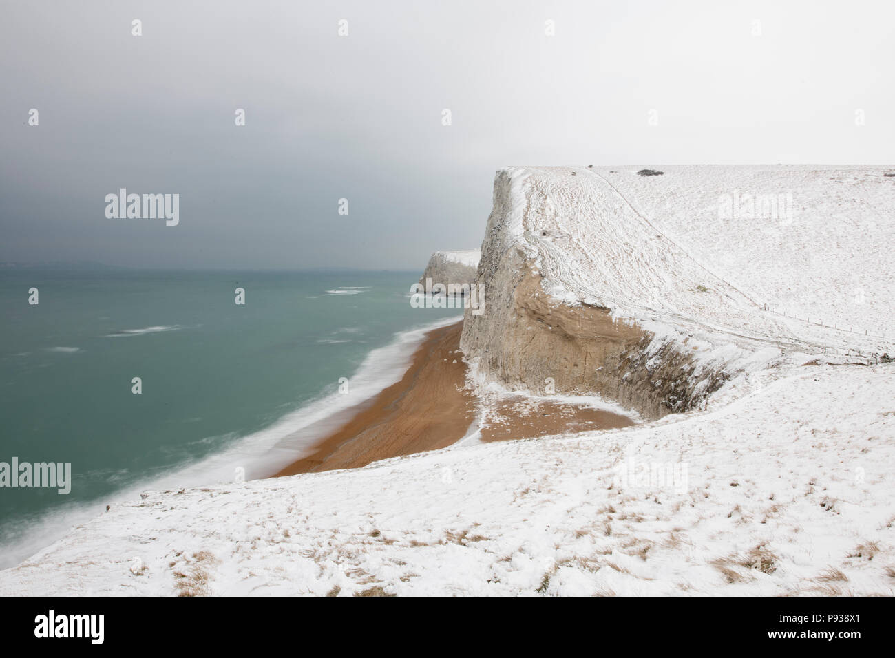 Bat la tête dans la neige sur la côte du Dorset. Banque D'Images