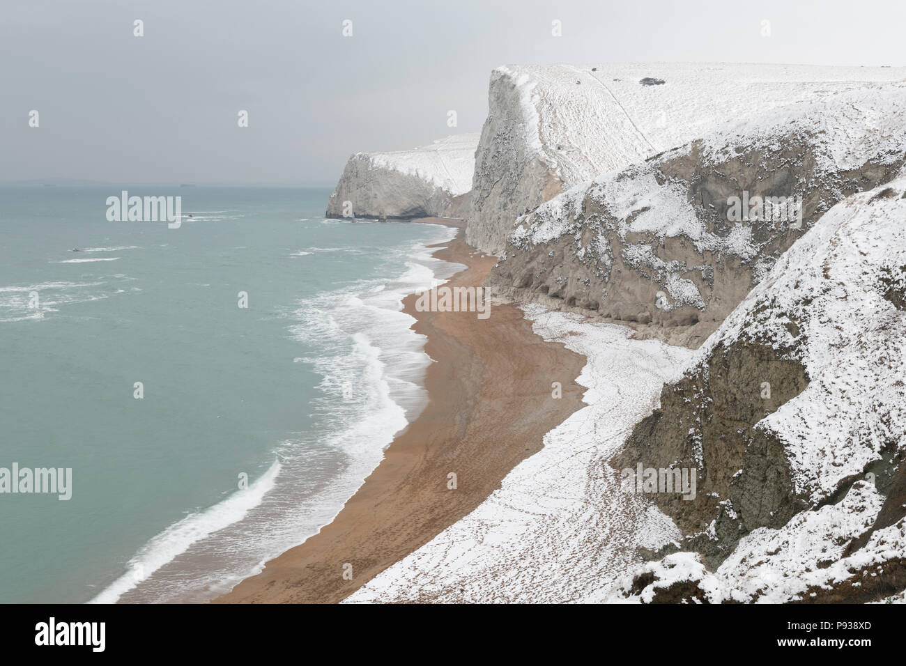Bat la tête dans la neige sur la côte du Dorset. Banque D'Images