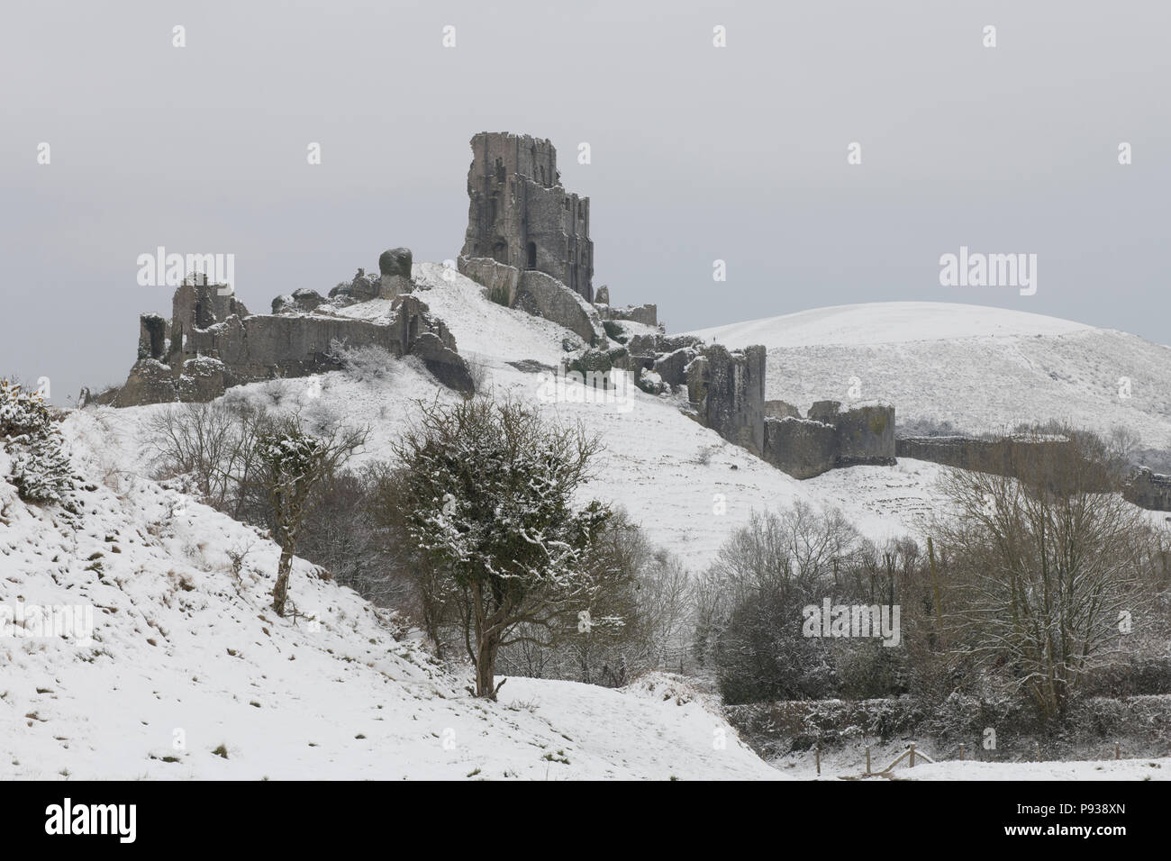 Château de Corfe dans la neige. Banque D'Images