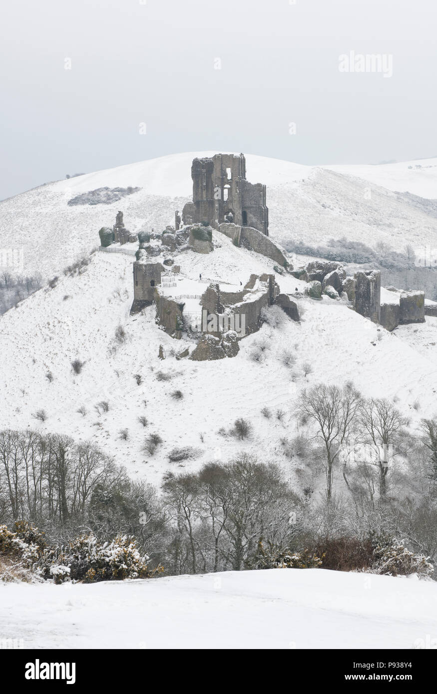 Château de Corfe dans la neige. Banque D'Images