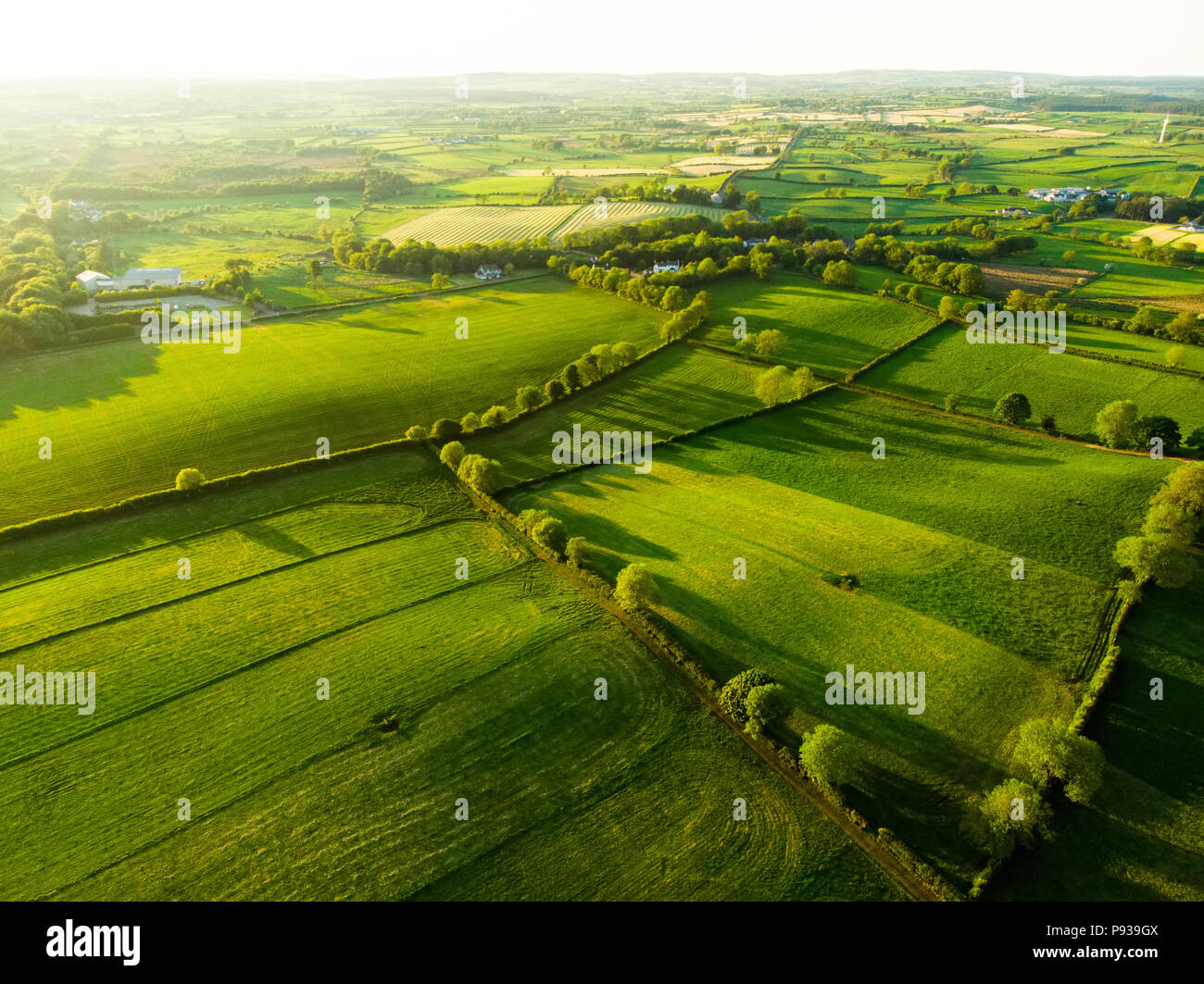 Vue aérienne de pâturages luxuriants sans fin et des terres agricoles de l'Irlande. Belle campagne irlandaise avec le vert émeraude des champs et prairies. Paysage rural sur s Banque D'Images