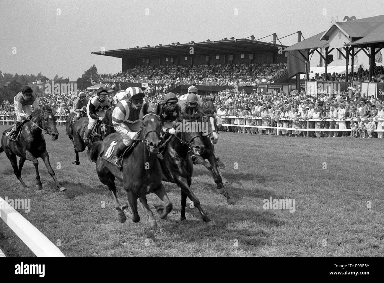Bad Harzburg, chevaux et jockeys devant les tribunes. Pearl Première avec Allemeyer avant K. Banque D'Images