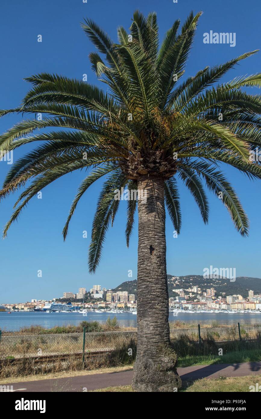ILLUSTRATION DE LA CORSE DU SUD, (2A) FRANCE Banque D'Images