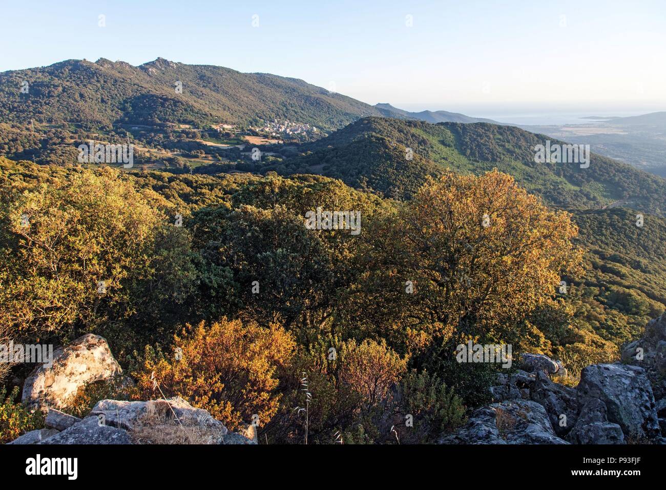 ILLUSTRATION DE LA CORSE DU SUD, (2A) FRANCE Banque D'Images