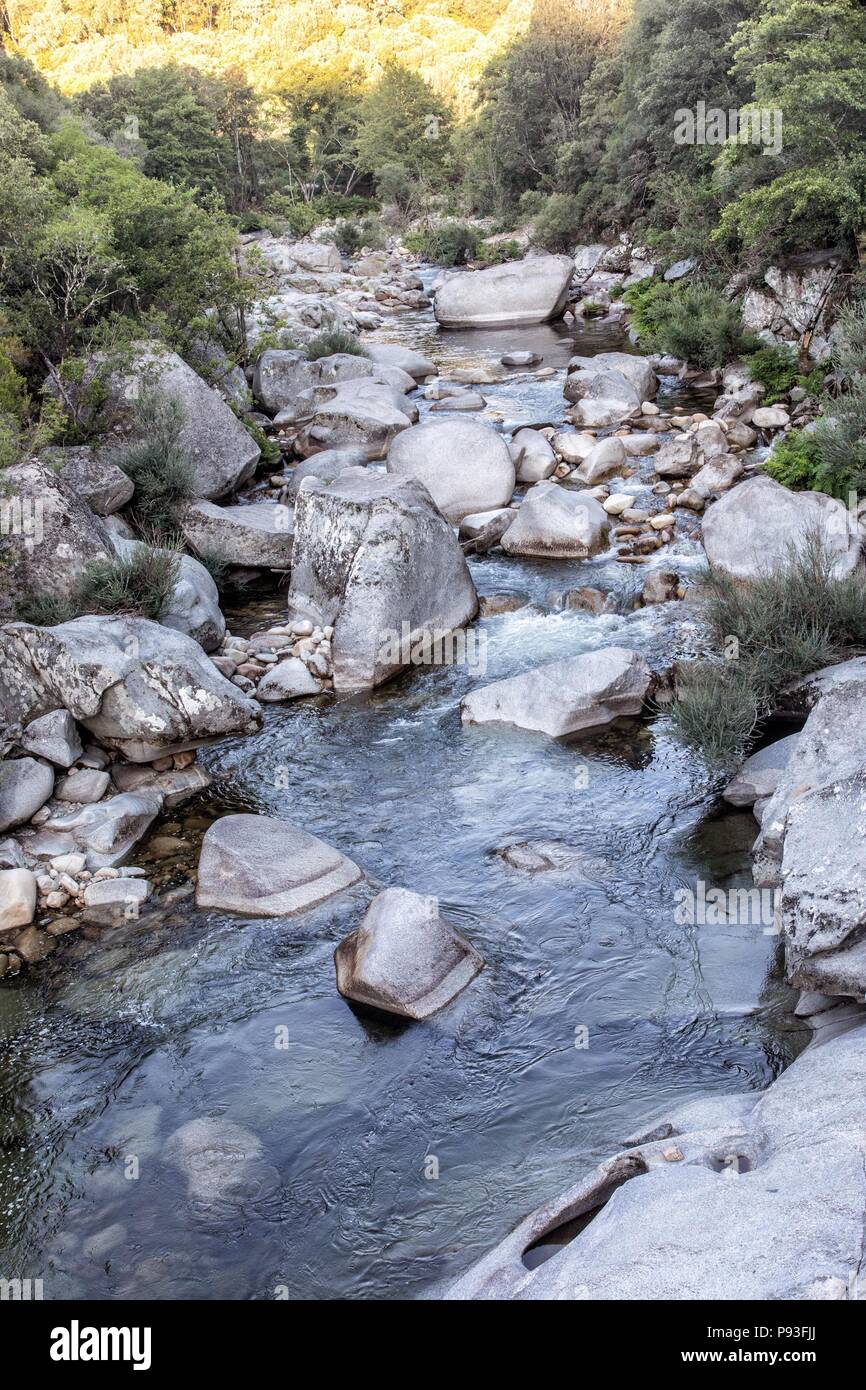 ILLUSTRATION DE LA CORSE DU SUD, (2A) FRANCE Banque D'Images