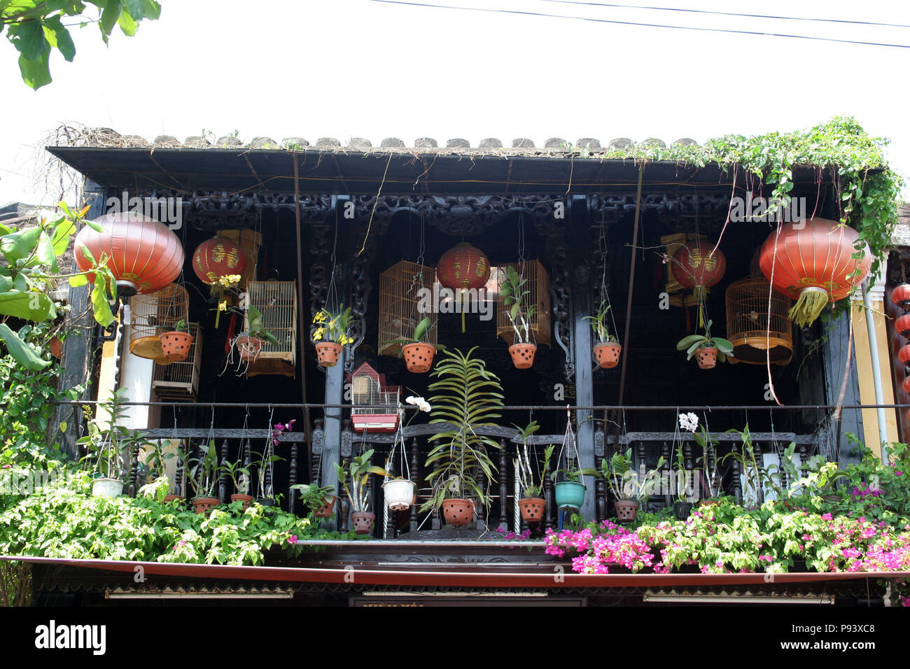 Bâtiment vietnamiens avec des lampions rouges et des plantes à l'extérieur, Hoi An, Vietnam Banque D'Images