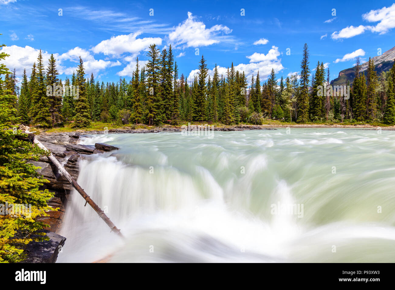 Vue en haut des chutes Athabasca dans le Parc National Jasper montrant eaux rapides de la classe 5, cascade jugés les plus puissants dans l'Ro Banque D'Images