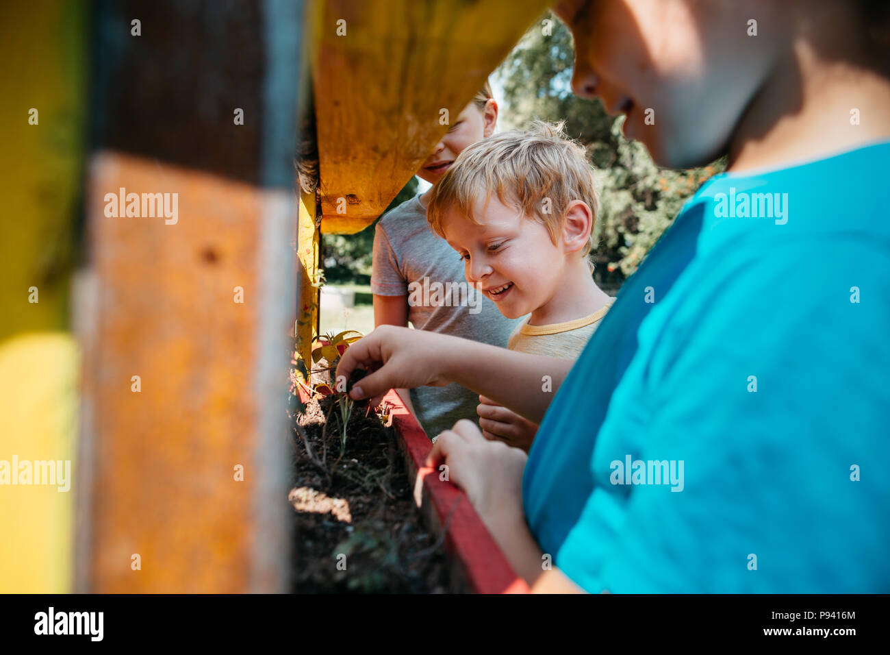 L'apprentissage de jeunes élèves sur les plantes dans un parc. Groupe d'enfants la plantation plantes ensemble dans un jardin sur une journée ensoleillée. Banque D'Images