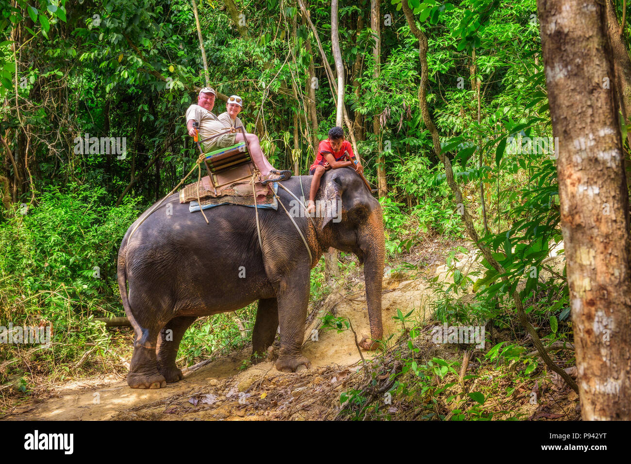 Les touristes à cheval un éléphant en Thaïlande Banque D'Images