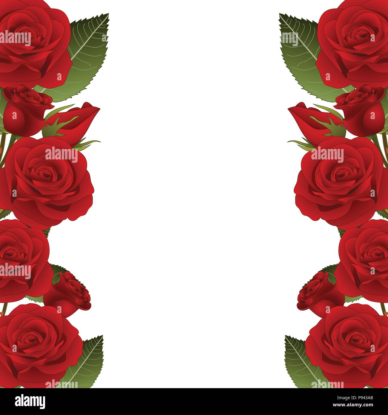 Plan En Titre Florale Roses Rouges Rose rouge Fleur Cadre frontière. isolé sur fond blanc. Vector ...