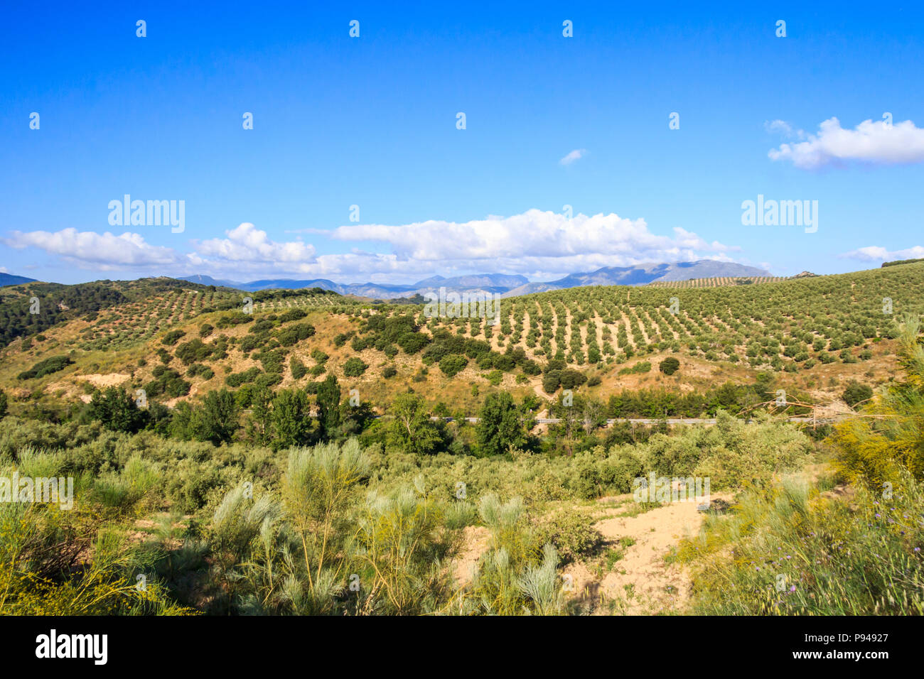 Vue sur le Parque Naturel de la Sierra de Grazalema, Cadiz Province, Espagne Banque D'Images