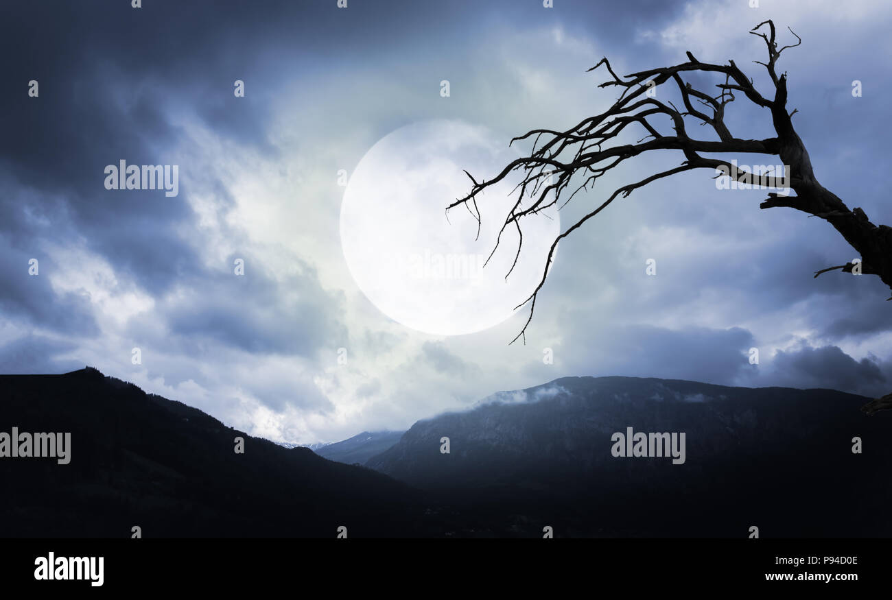 Arrière-plan de l'Halloween. Montagnes et Spooky tree avec pleine lune Banque D'Images