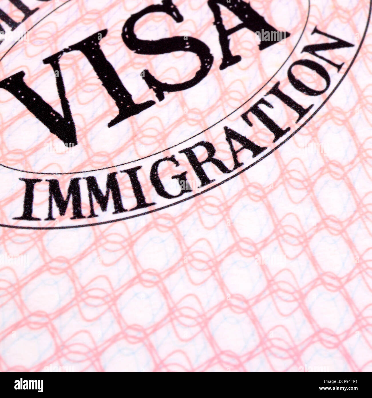 Visa Immigration document passeport page close up Banque D'Images