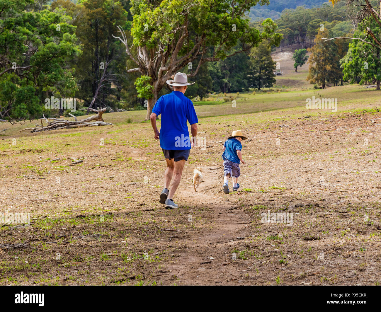 Petit garçon courir à travers la campagne avec son grand-père dans la partie supérieure de la Hunter Valley, Nouvelle-Galles du Sud, Australie. Banque D'Images