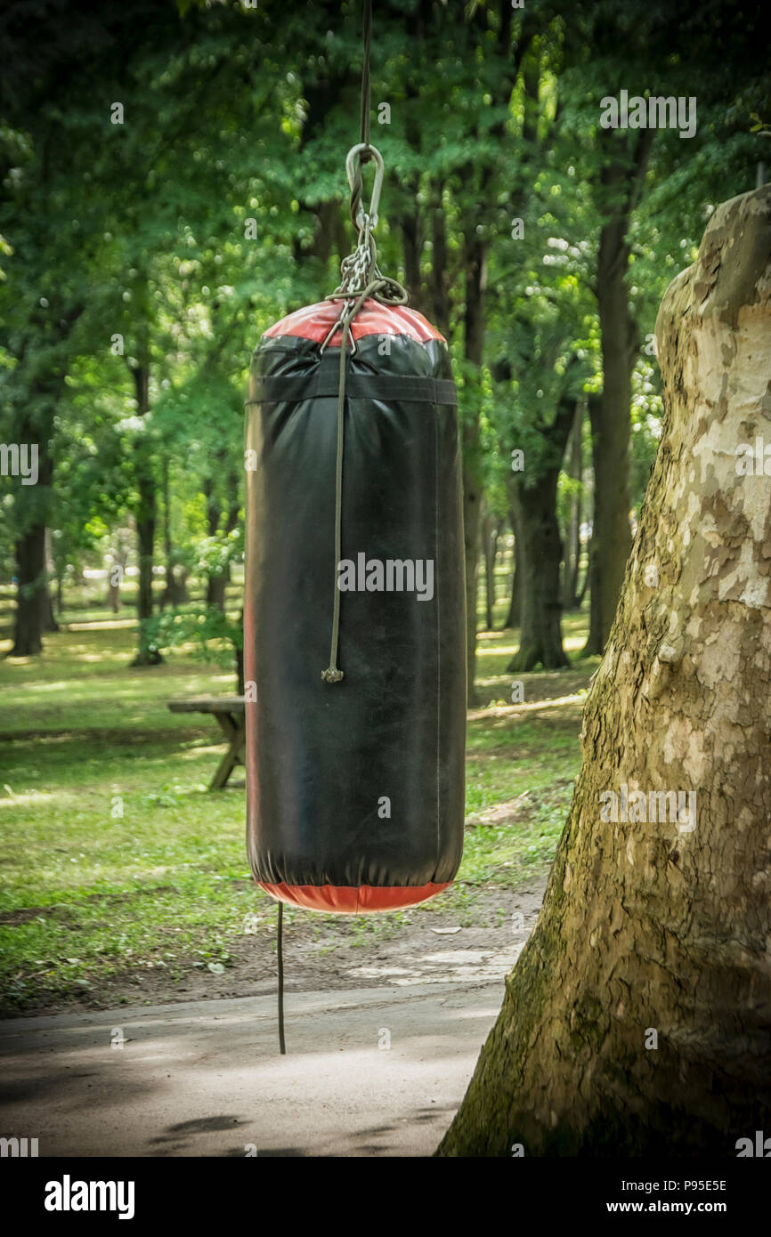 Un sac suspendu à un arbre Photo Stock - Alamy