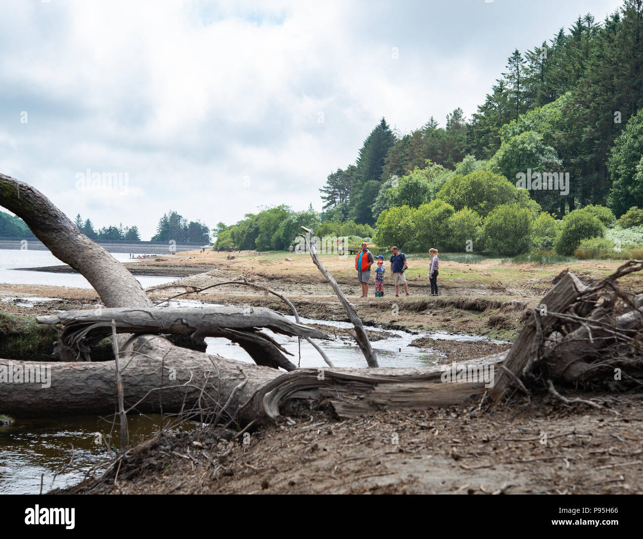 Personnes jouant sur la sécheresse de l'arbre exposée au réservoir d'Injebreck séchées Banque D'Images