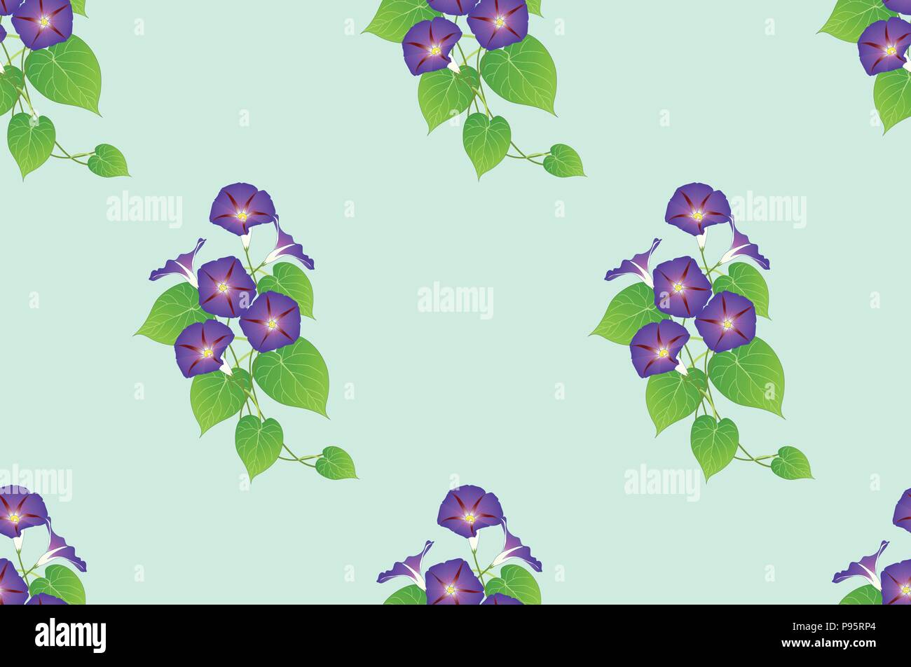 Gloire du matin violet sur fond de menthe verte transparente. Vector Illustration. Illustration de Vecteur