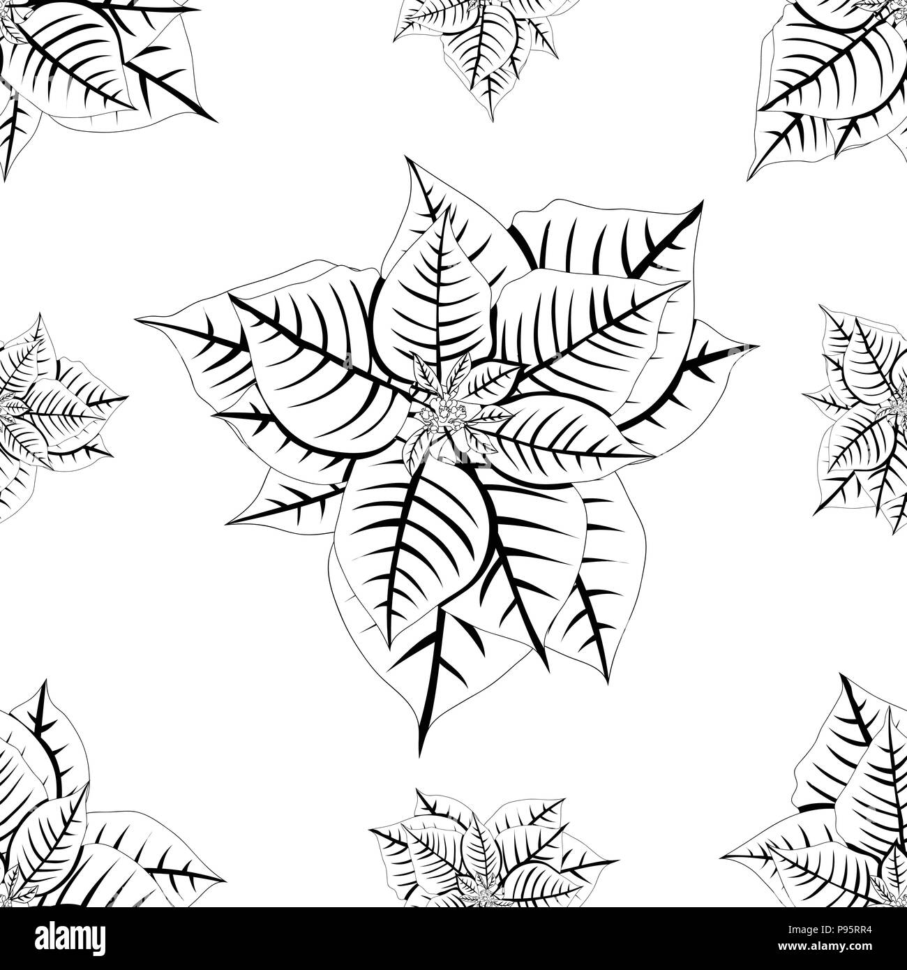 Poinsettia rouge sur fond blanc. Vector Illustration. Illustration de Vecteur