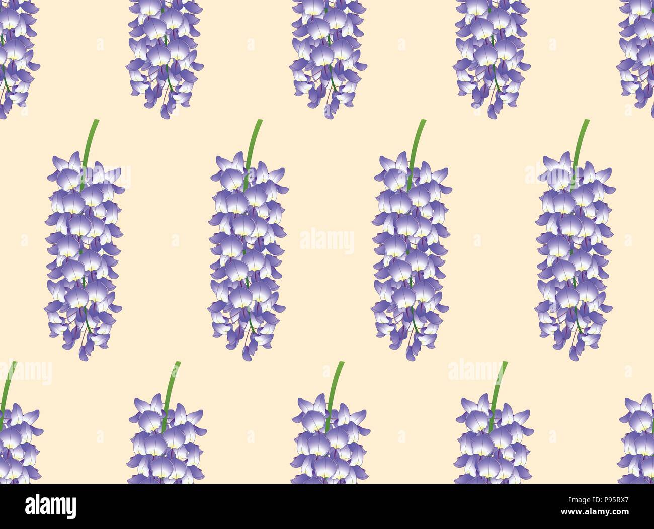 Wisteria bleu-violet sur fond beige ivoire. Vector Illustration. Illustration de Vecteur