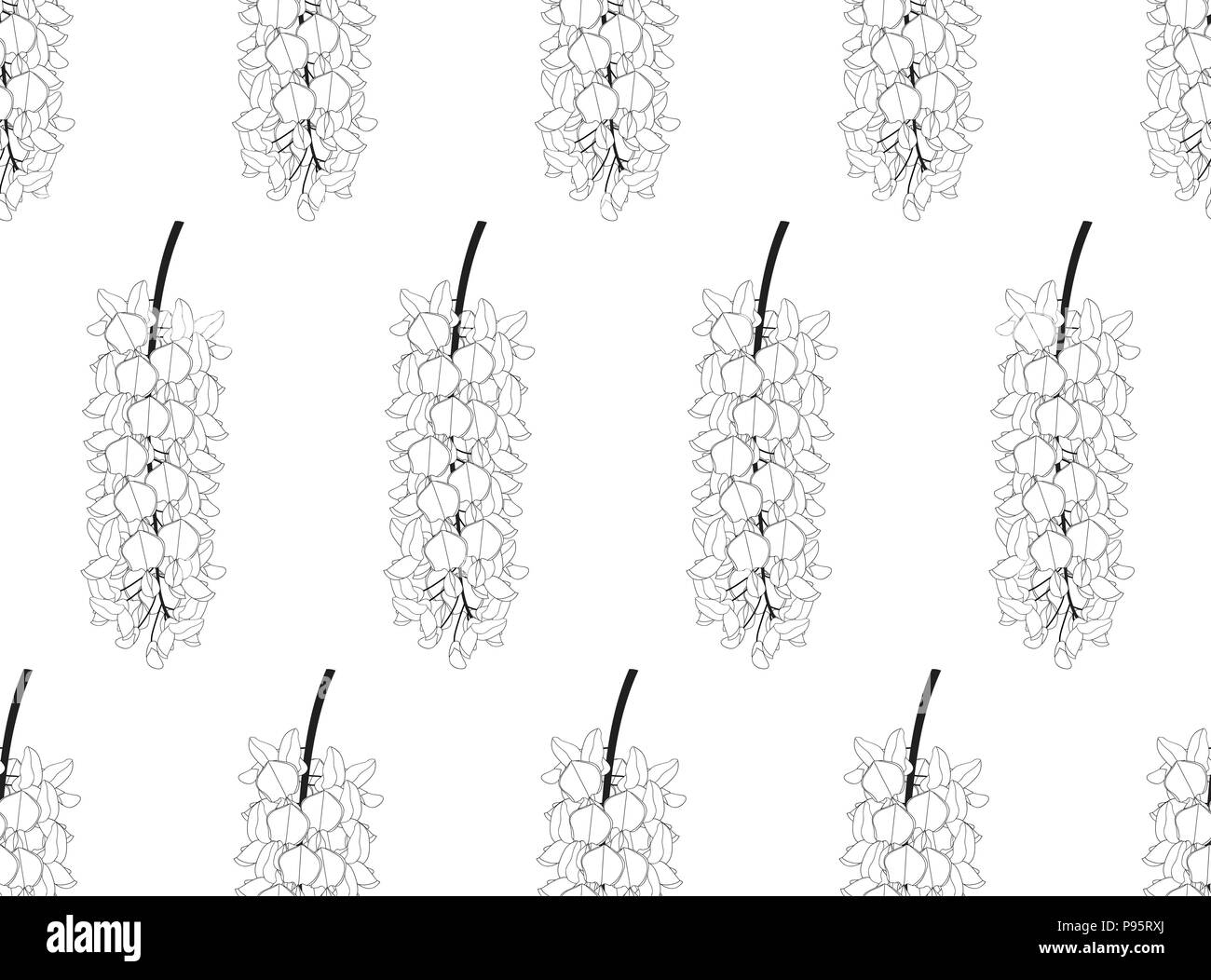 Une glycine sur fond blanc. Vector Illustration. Illustration de Vecteur