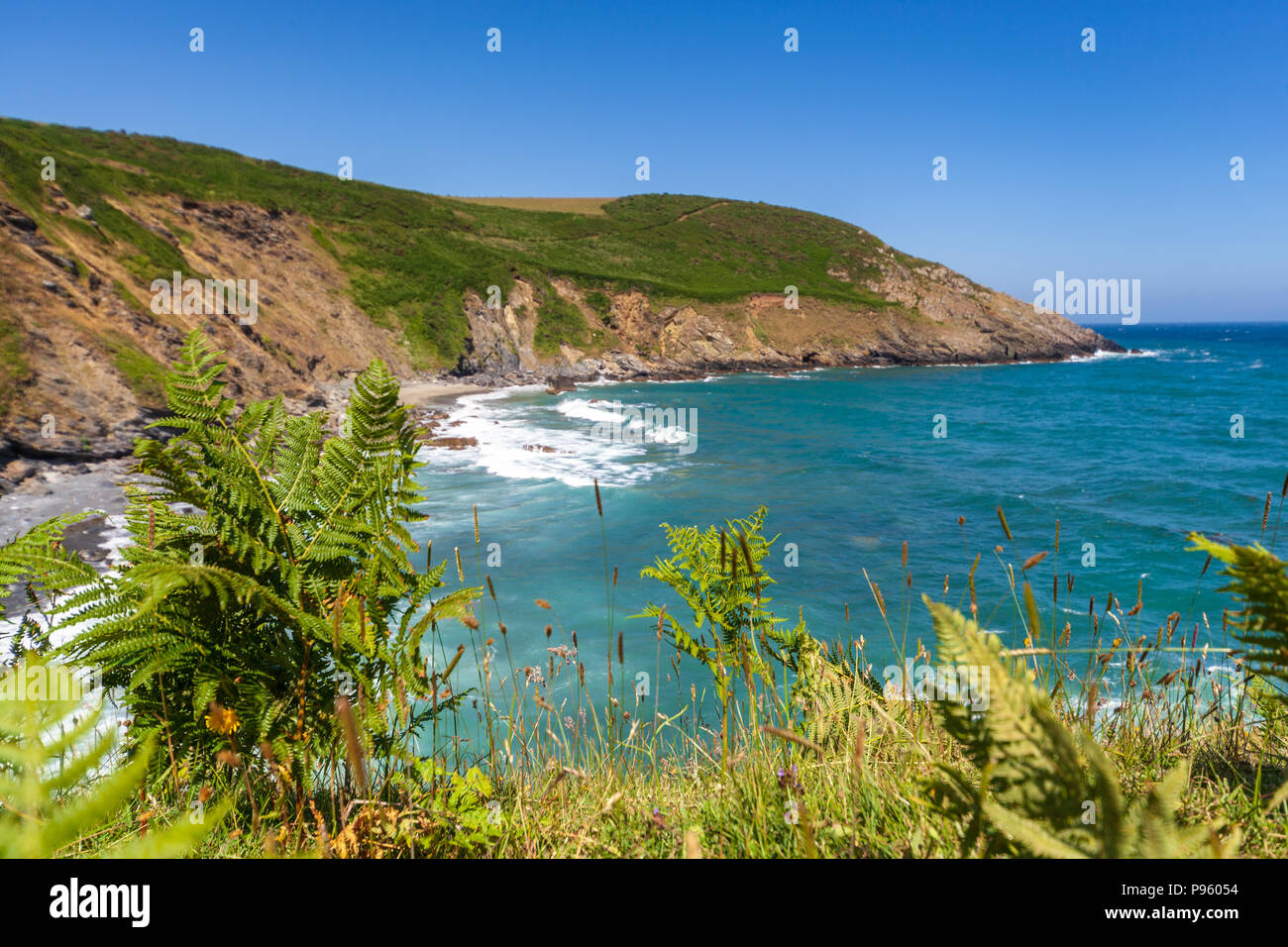 Avis de nare head à Cornwall uk Banque D'Images