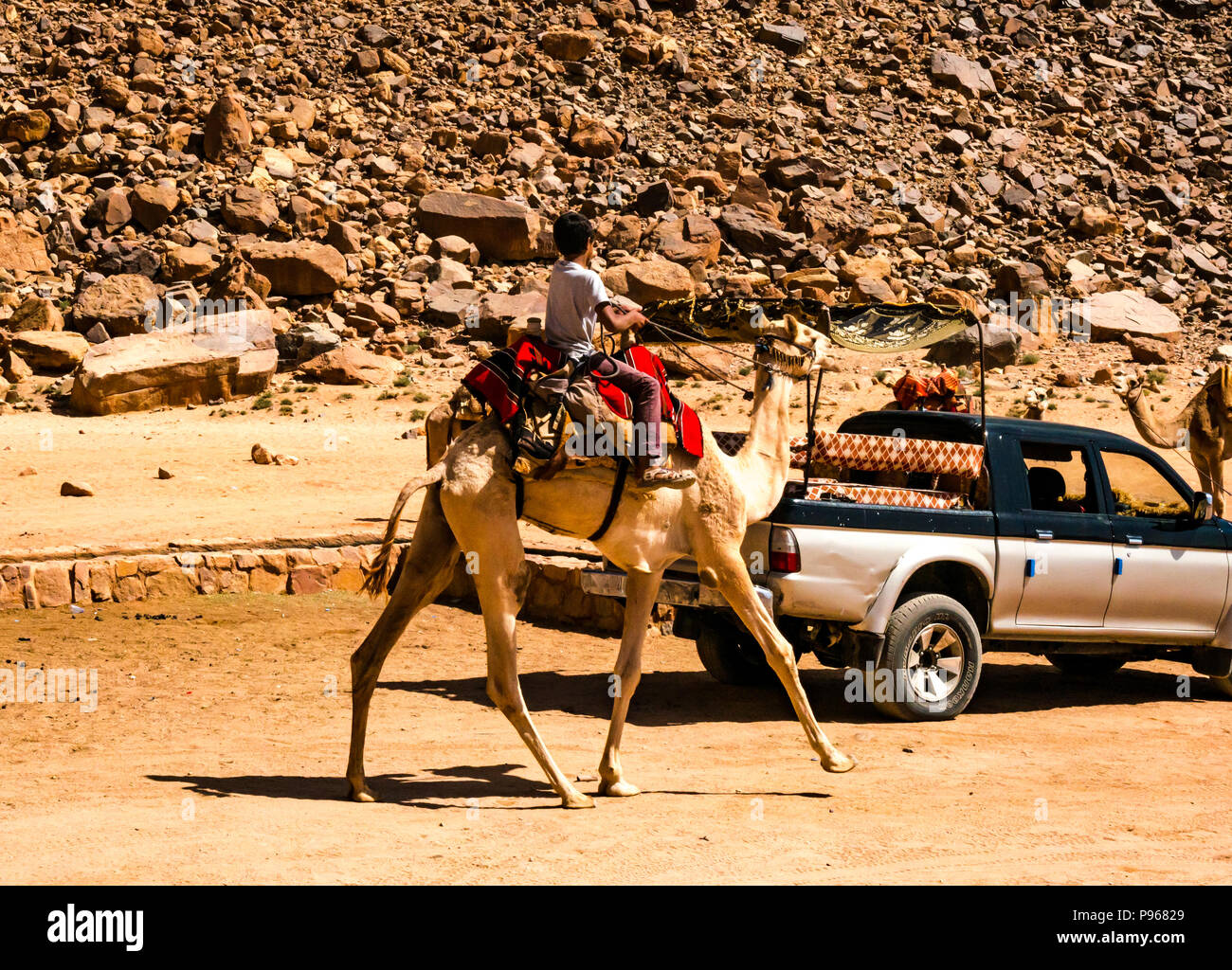 Jeune garçon monté sur un chameau au camp Bédouin, vallée du Wadi Rum, Jordanie, Moyen-Orient Banque D'Images