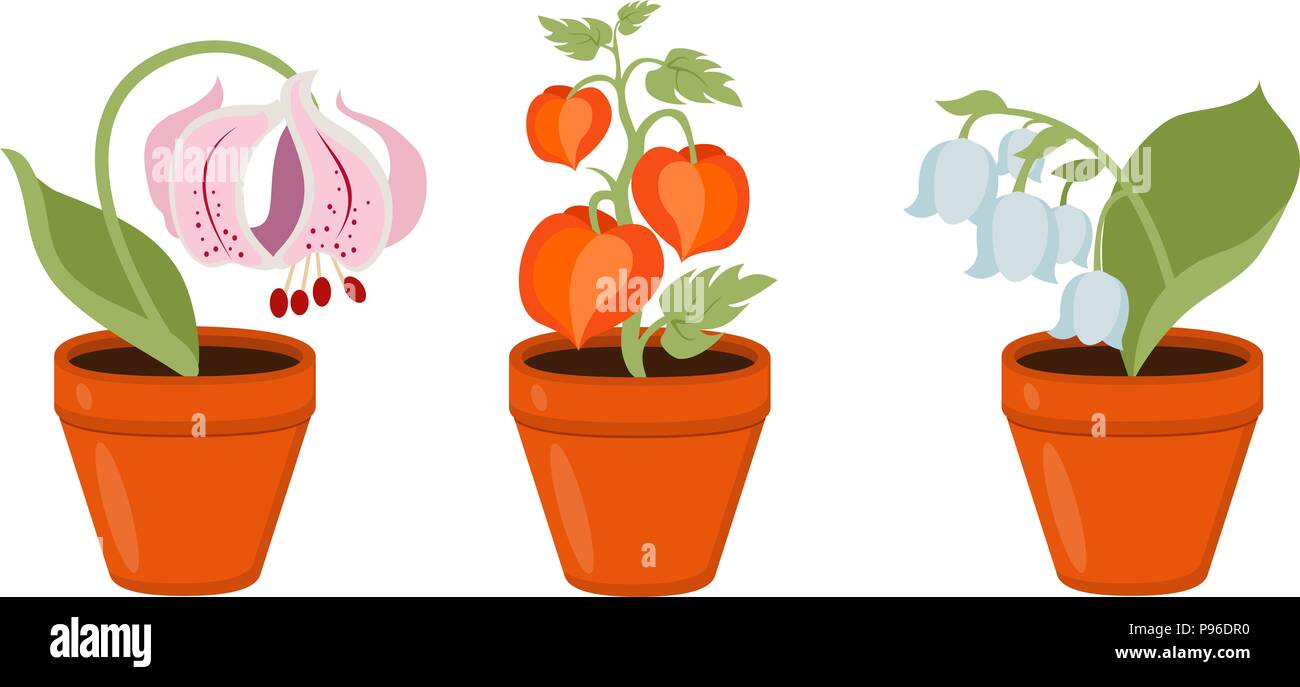 Des pots de fleurs colorées dans les rasters Banque D'Images