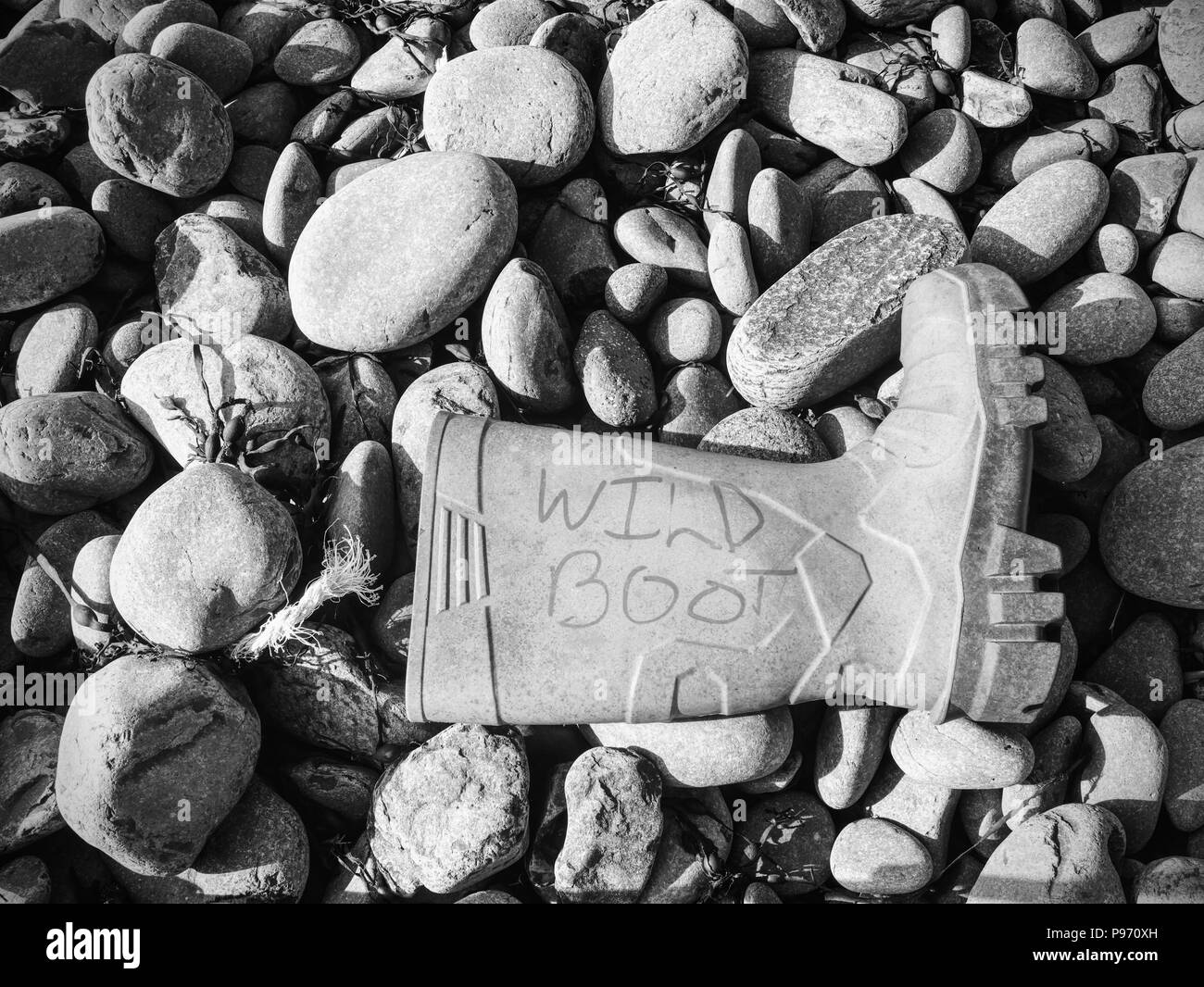 Déchets dangereux éjecté de la mer sur des plages isolées. La contamination avec des substances toxiques. Banque D'Images