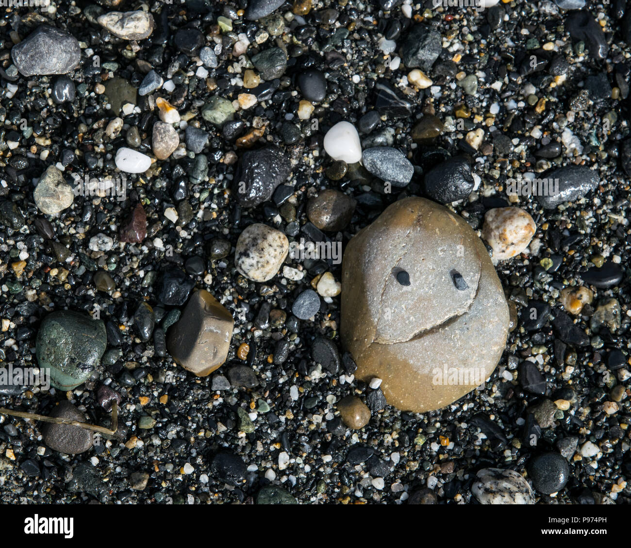 Smiling rock sur une platin en Alaska entourée par de petites pierres plates de marée. Banque D'Images