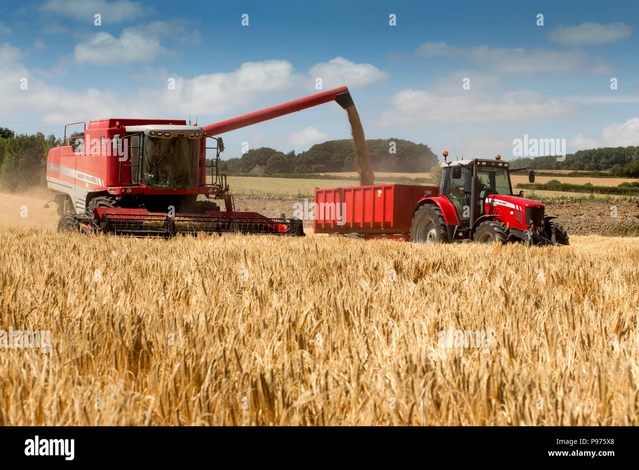 Skeeby, North Yorkshire, UK, le 15 juillet 2018. Une moissonneuse-batteuse à l'œuvre avec un début précoce de la récolte d'été très chaud sur une belle St Swithin's Day. Si le folklore est vrai le temps restera belle pour les 40 jours. Le Met Office prévoit pour le mois prochain que les températures continueront au-dessus de la moyenne, avec des périodes très chaudes possible à partir de la pluie persistante ou d'une douche. Credit : Andy Lovell/Alamy Live News Banque D'Images