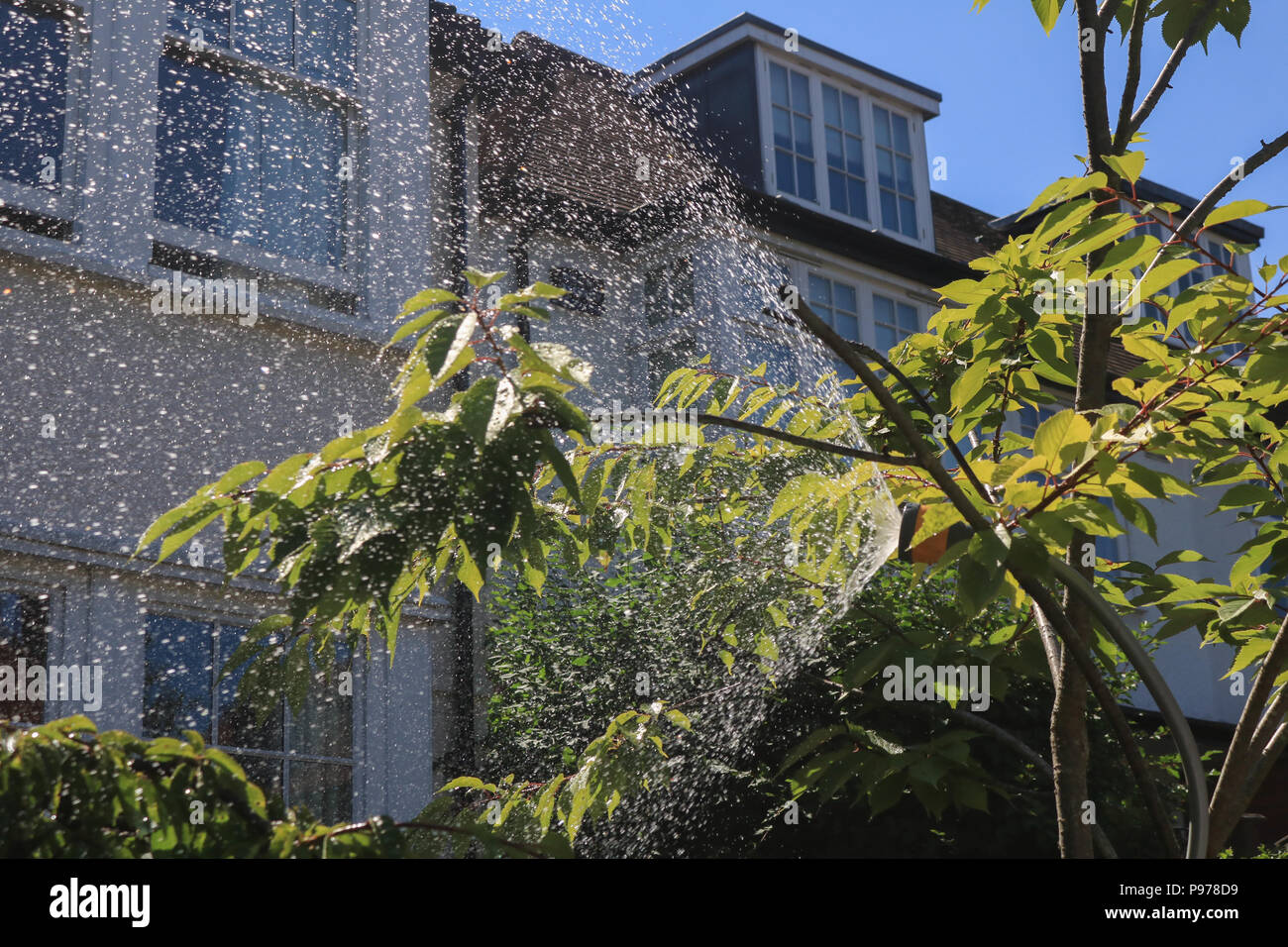 London UK. 15 JUILLET 2018 . Un jardin est arrosé sur sex chaleur jour à Wimbledon que la Grande-Bretagne fait face à une pénurie d'eau en raison d'un manque de pluie et la canicule en cours qui a duré plus de 30 jours de crédit : amer ghazzal/Alamy Live News Banque D'Images