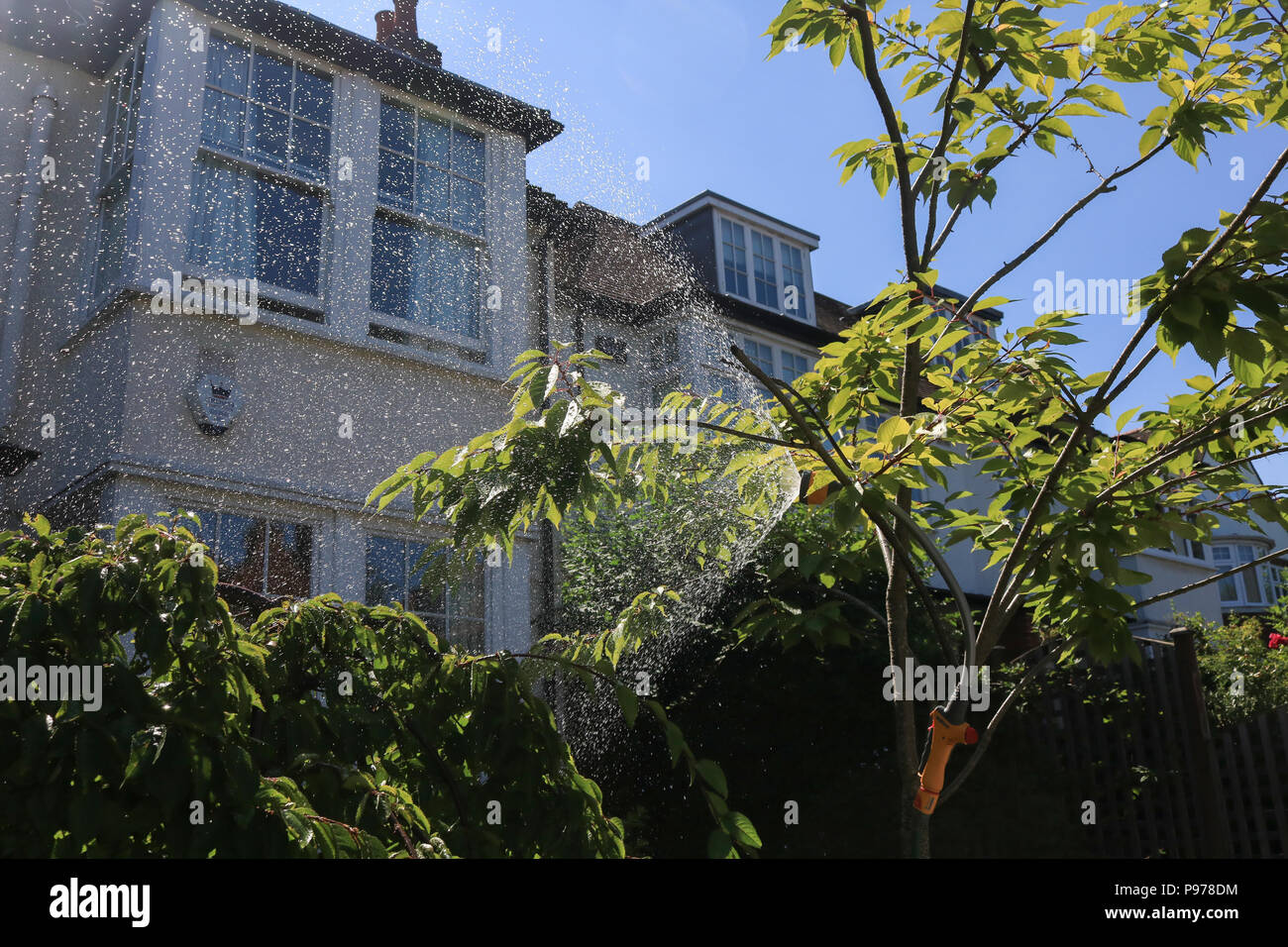 London UK. 15 JUILLET 2018 . Un jardin est arrosé sur sex chaleur jour à Wimbledon que la Grande-Bretagne fait face à une pénurie d'eau en raison d'un manque de pluie et la canicule en cours qui a duré plus de 30 jours de crédit : amer ghazzal/Alamy Live News Banque D'Images