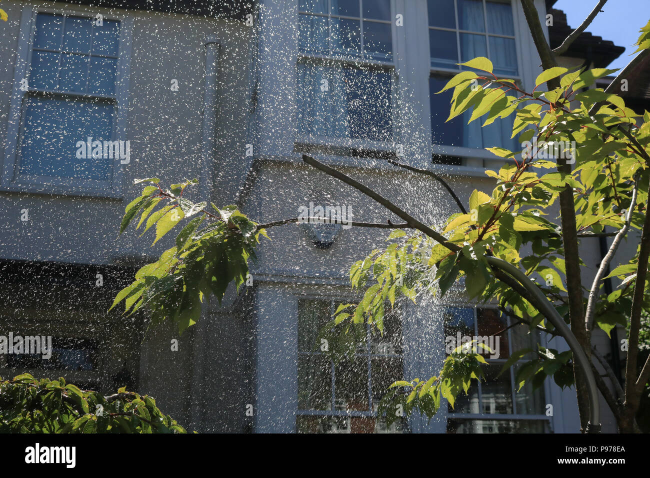London UK. 15 JUILLET 2018 . Un jardin est arrosé sur sex chaleur jour à Wimbledon que la Grande-Bretagne fait face à une pénurie d'eau en raison d'un manque de pluie et la canicule en cours qui a duré plus de 30 jours de crédit : amer ghazzal/Alamy Live News Banque D'Images
