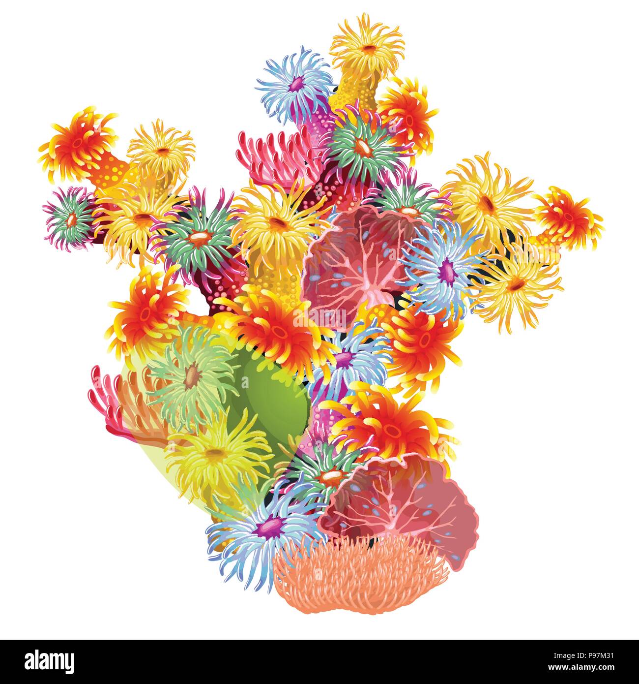 Une composition colorée des coraux et les polypes. Habitants de la lumineuse deep sea est isolé sur un fond blanc. Vector illustration. Illustration de Vecteur
