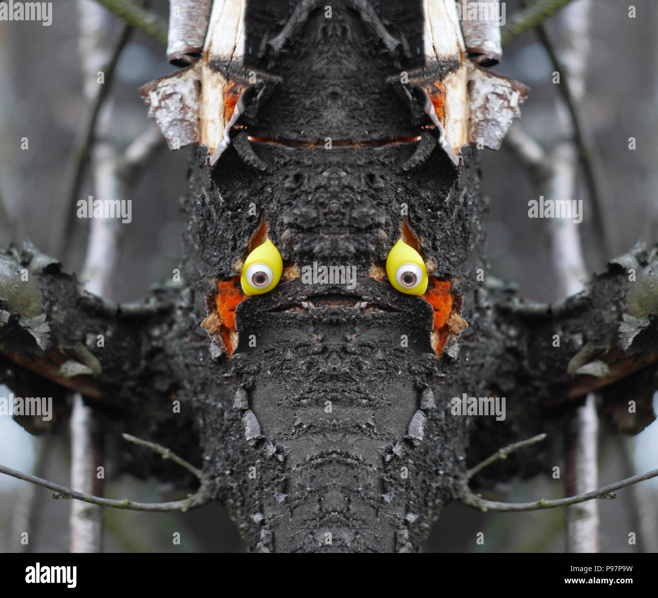 Photo conceptuelle - visage de la forêt - bois de face avec les yeux de poupée. Banque D'Images